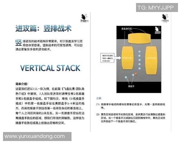 深圳飞盘队进攻战术深度分析与实战应用探讨